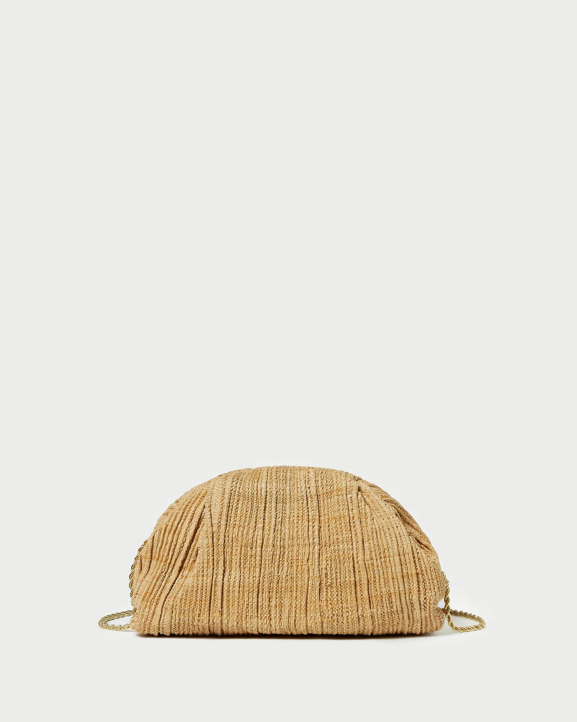 Loeffler Randall Bailey Blue Floral Pleated Clutch